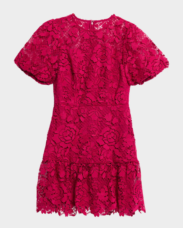Yasmin Floral Lace Flounce Mini Dress